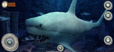 MY Hungry Survival Shark Games Image