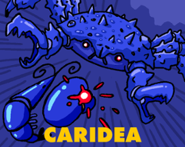 CARIDEA Image