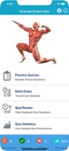 Muscular System Quizzes Image