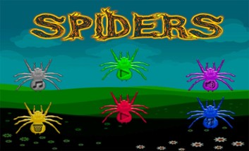 Spiders Image