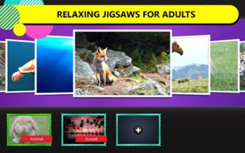 Jigsaw Puzzles for Adults Image