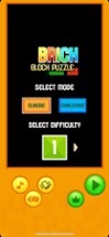 Brick Block Puzzle Image