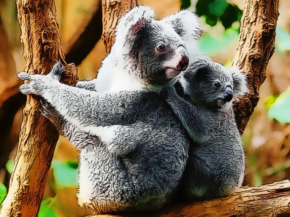 Cute Baby Koala Bear Game Cover