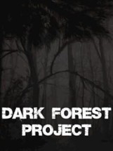 Dark Forest Project Image