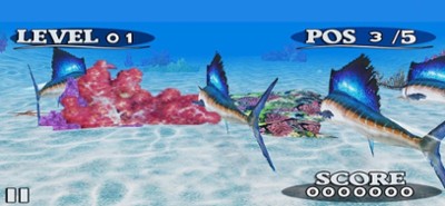 Fish Race Version Image