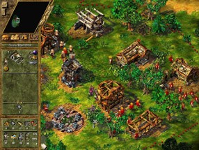 The Settlers IV Image