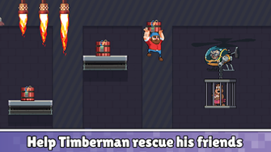 Timberman The Big Adventure Image