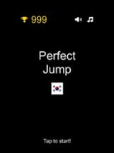 Perfect Jump Yo! Image