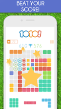 1010! Block Puzzle Game Image