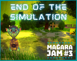 END of the Simulation Image