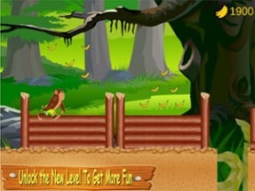 Gorilla Run Jungle Surfer Game Image