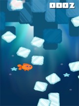 Ice Block Dash - Get Fishes Image