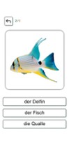 Learn and play German + Image