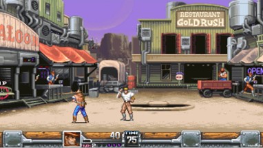 Wild Guns Reloaded Image