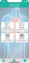 Anatomy : Respiratory System Image