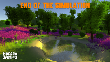 END of the Simulation Image