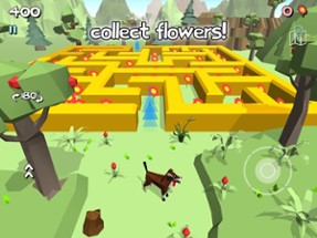 3D Maze 3 - Labyrinth Game Image