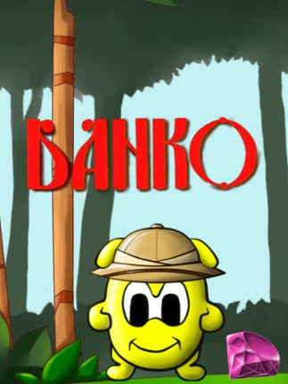 Danko and the mystery of the jungle Game Cover