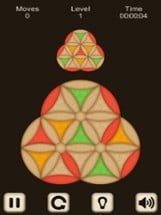 Hard Wood Puzzle. Hexagon Image