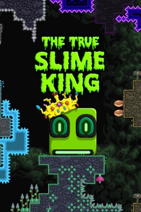 The True Slime King Game Cover