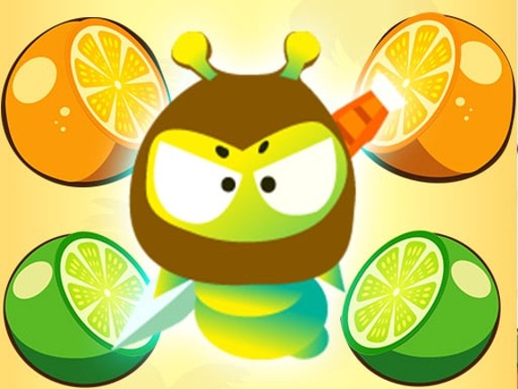 Fruits Ninja Hero Game Cover