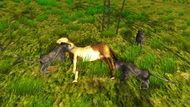 Horse Simulator - Ultimate Wild Animal Image