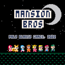 Mansion Bros Image