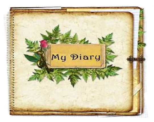 Diary Game Cover