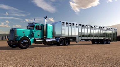 Peterbilt 359 Image