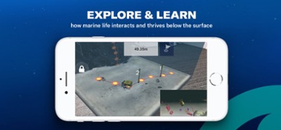 Ocean School Image