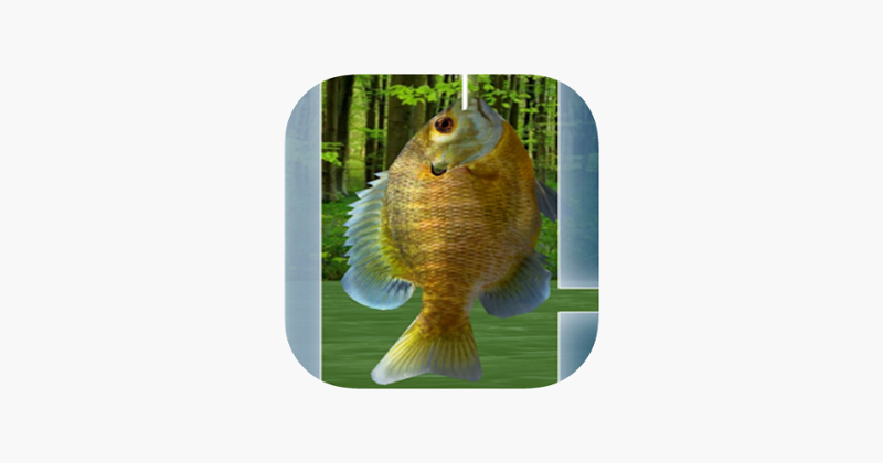 Wild Fishing King 3D Simulator: Flick Fish Frenzy Game Cover