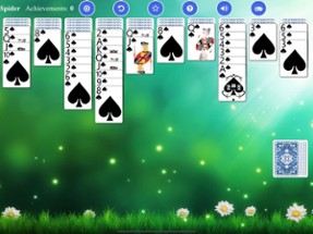 Spider Solitaire - Card Game Image