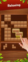 Wood Block Puzzle Deluxe Image