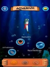 AquariumSS Guide Image