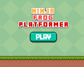 Ninja Frog Platformer Image