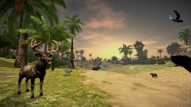 Castaway VR Image