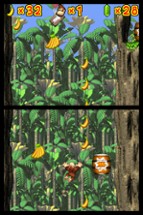 DK: Jungle Climber Image