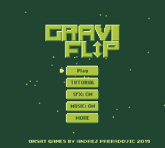 GraviFlip Image