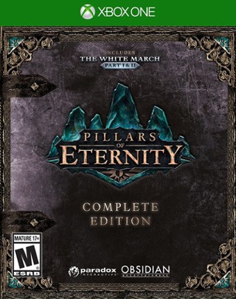 Pillars of Eternity Game Cover