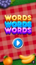 Words Words Words Game Image