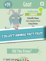 Quiz Owl's - Animal Trivia Image