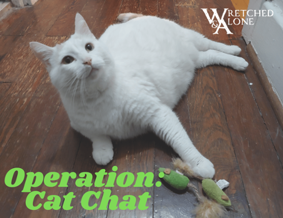 Operation: Cat Chat Game Cover