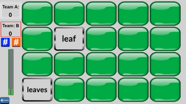 Starters - Irregular Plurals - Matching Game Image
