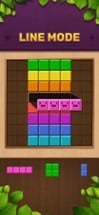 Wood Color Block: Puzzle Game Image