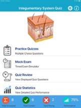 Integumentary System Quizzes Image