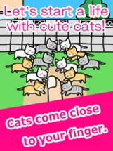 Play with Cats - relaxing game Image