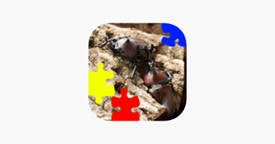 Rhinoceros Beetle Jigsaw Puzzle Image