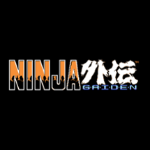 The Ninja Gaiden as Interpreted by MiniMacro Sound Image