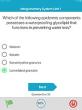 Integumentary System Quizzes Image