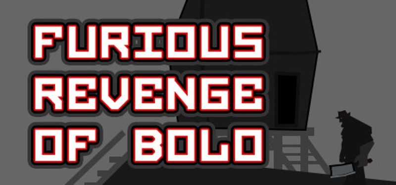 Furious Revenge of Bolo Game Cover